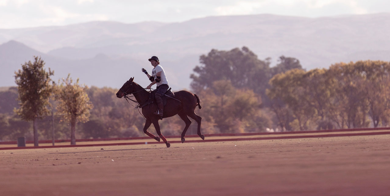 Polo - Estancia La Paz