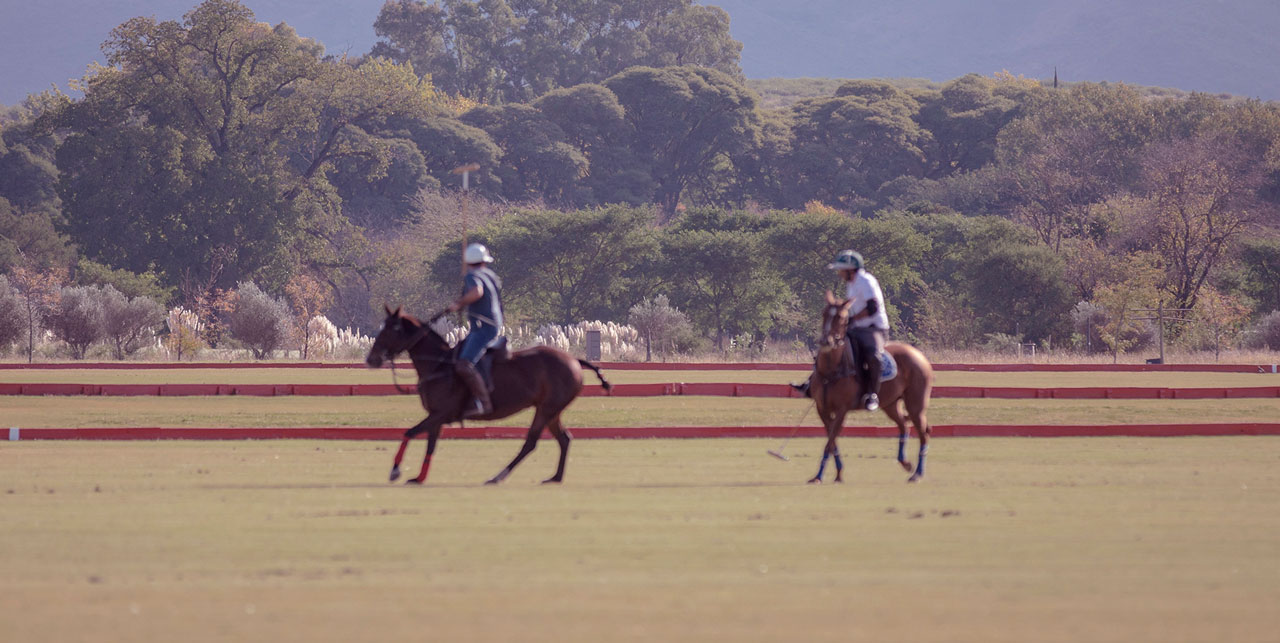 Polo - Estancia La Paz