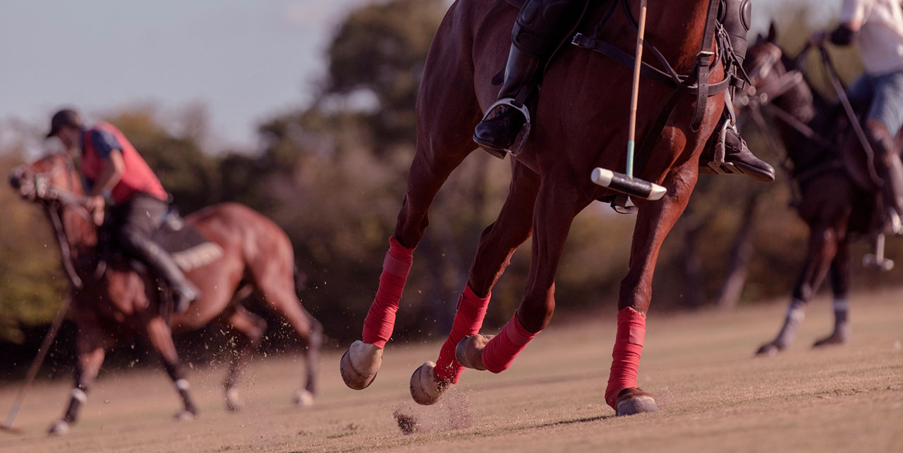 Polo - Estancia La Paz