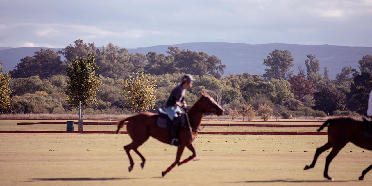 Polo - Estancia La Paz