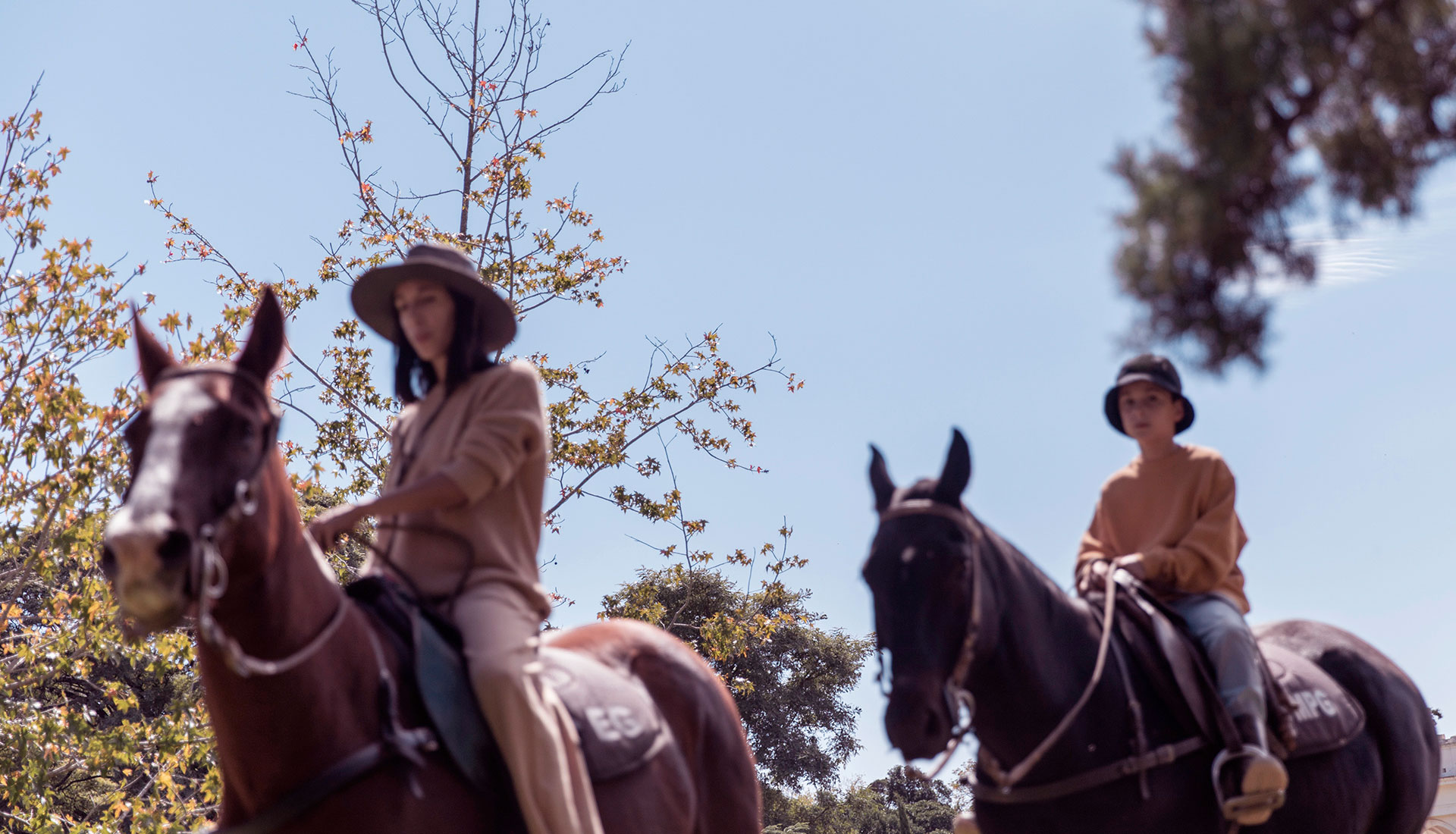 Estancia La Paz